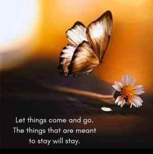 Meet your Posher, Hadiya